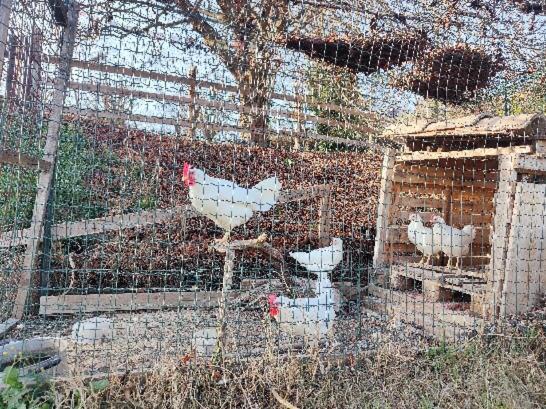 Monfrà - Ospitalità Rurale, Vigneti e Cantina Vignale Esterno foto