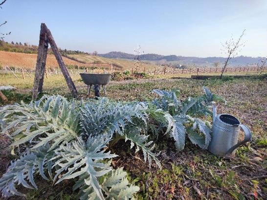 Monfrà - Ospitalità Rurale, Vigneti e Cantina Vignale Esterno foto